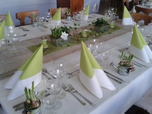 Bilder Handy Andrea 061